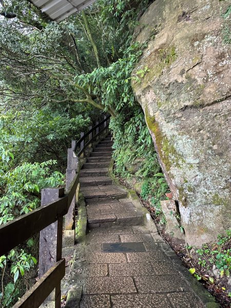 細雨中遠眺101登南港山2043829