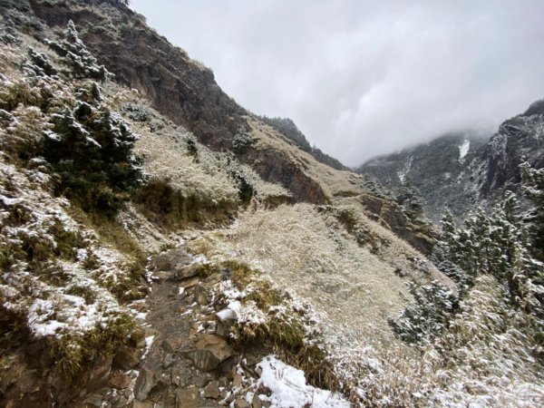 塔塔加-排雲山莊。驚喜滿分的糖霜雪景1565829