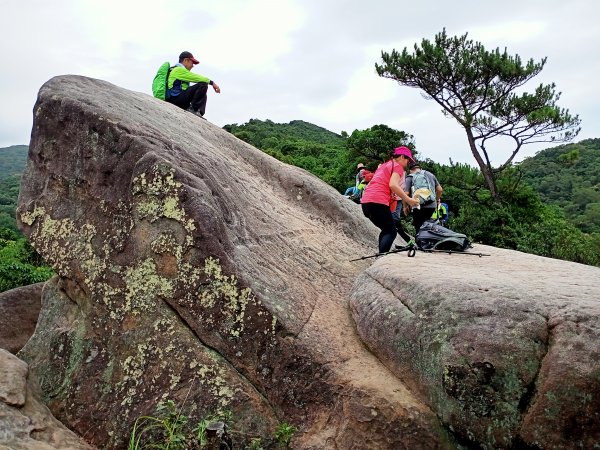 【大內連峰】大湖公園→內溝溪生態步道