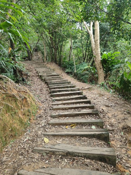 微笑山線：【二格山系】和美山螢火蟲段2834854