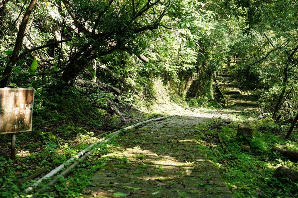 新北 平溪 薯榔尖、石筍尖、魔神仔洞2772540