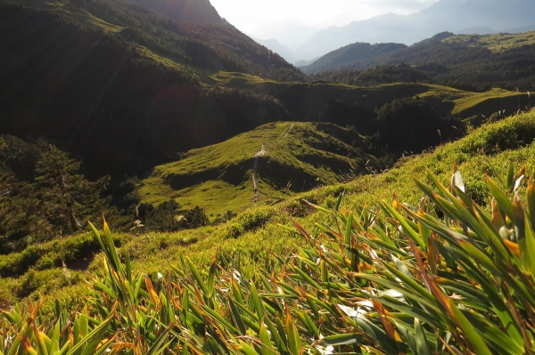 【步道小旅行】登山新手之能高越13K.奇萊南峰日出雲海4417