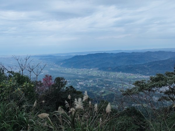 新竹百萬夜景大崎崠頂峰涼亭1596698