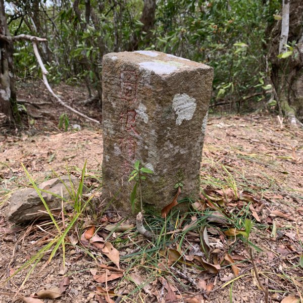 20250404屏東北獅子頭山-霧里乙山2757394