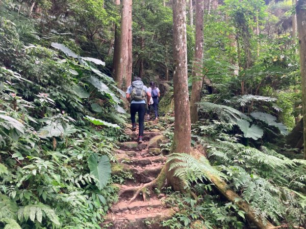 五指山登山步道2293193