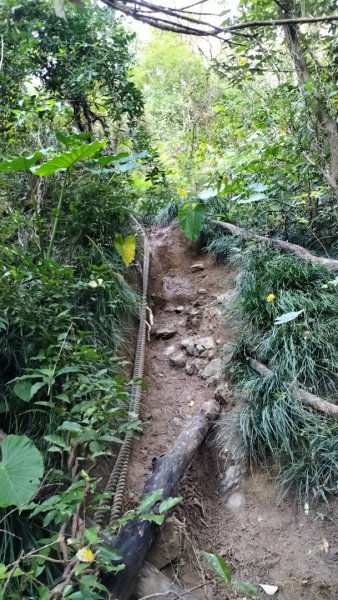 20250203_小百岳女仍山2706841