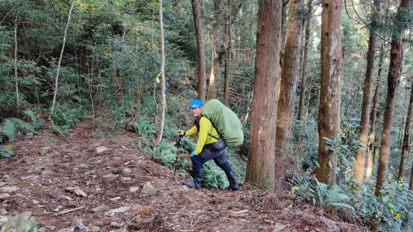 干卓萬群峰五天1141001~052906187