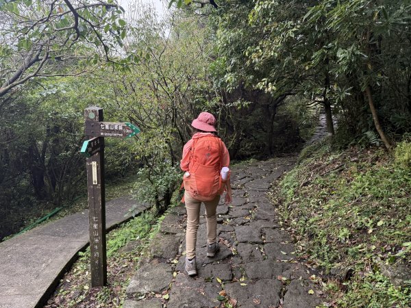 七星山 冷水坑上小油坑下環七星山人車分道O繞 202511082934887