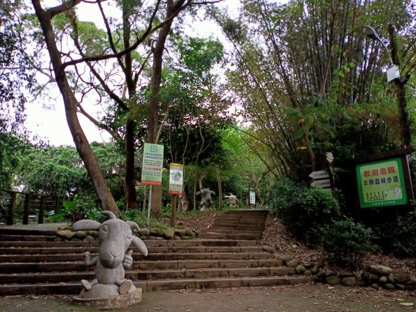 三訪桃園蘆竹羊稠森林步道【桃園-臺灣百大必訪步道】【南山神壽任務】