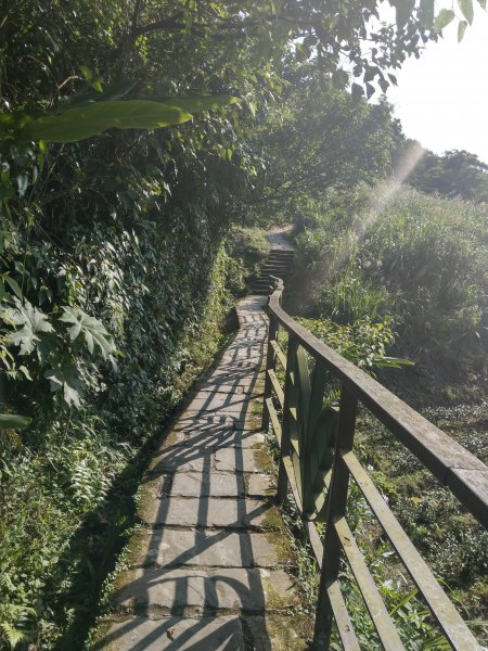 貓空隨意行［樟湖步道、待老坑山、杏花林、明德宮、樟山寺］及政大小坑溪親水文學步道(2021/4/6)1417876