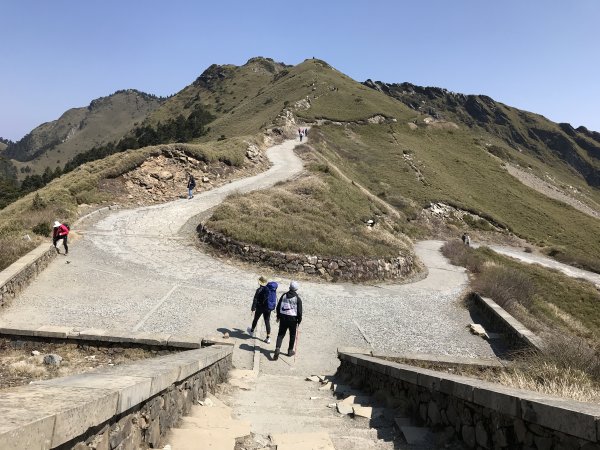 110年4月2日南投 合歡山主峰步道1433037