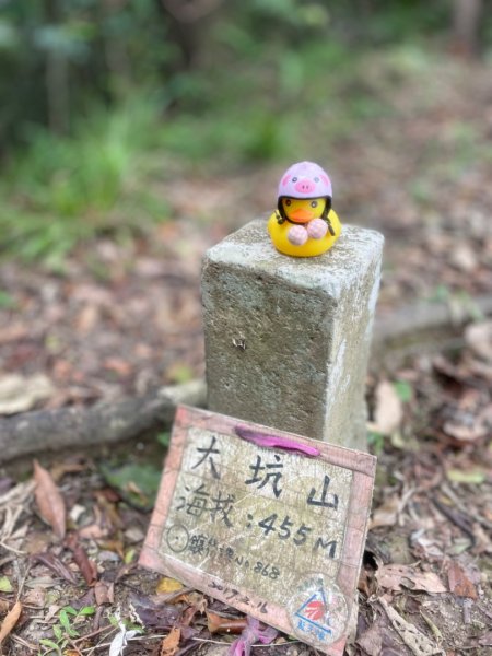 淡蘭古道北中南路全段共15段2567990