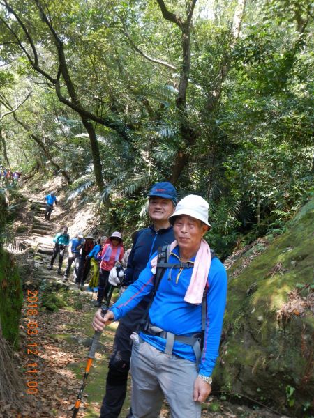 土城天上山五城山將軍嶺綠野香坡社區285785