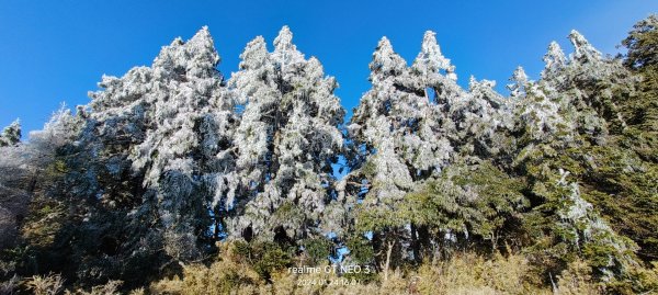 2024雪季攀登（玉山主峰/玉山西峰）2410976