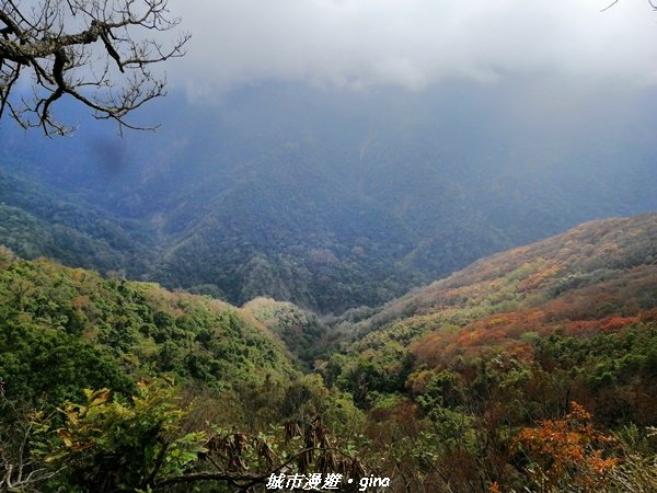 手腳並用之虎山行。 水雲三星~虎山步道封面