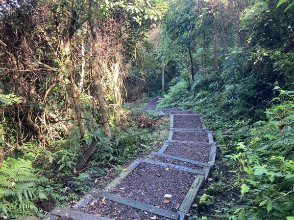 臺北大縱走第七段：捷運麟光站至飛龍步道1769176