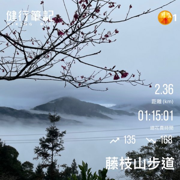 小百岳(68)-藤枝山-202212182053091