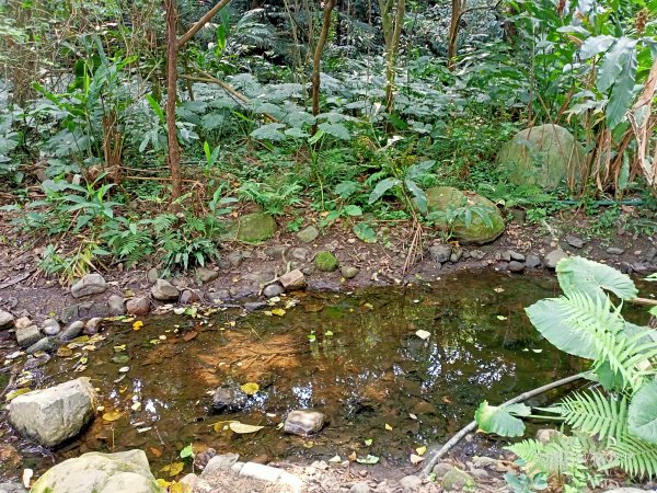 【臺北大縱走 6】生態豐富、自然純樸的捷運麟光站至瑞雲街口2122518