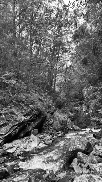 芃芃山西北稜大內台2693958