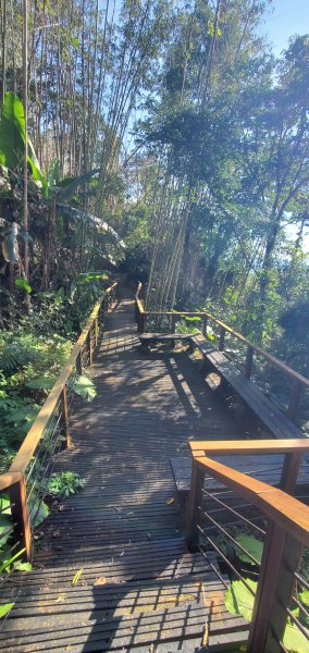 2025-01-30迷糊步道2704452