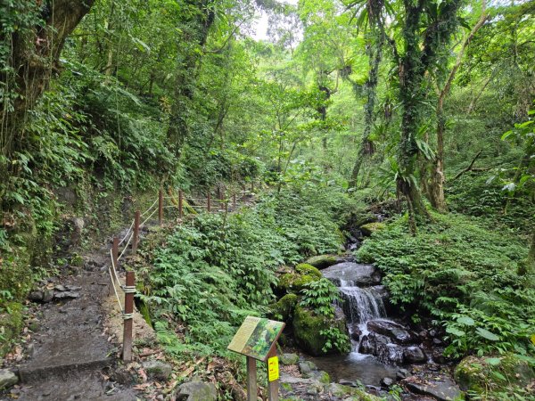 聖母登山步道（抹茶山）、三角崙山（小百岳）2774108