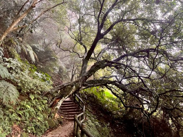 12/27（六）🌈石門水庫~溪洲山（小百岳）✨FB：熊熊趴爬走🌈2971224