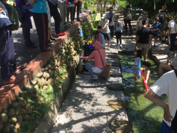 霄裡好風光好景色2825438