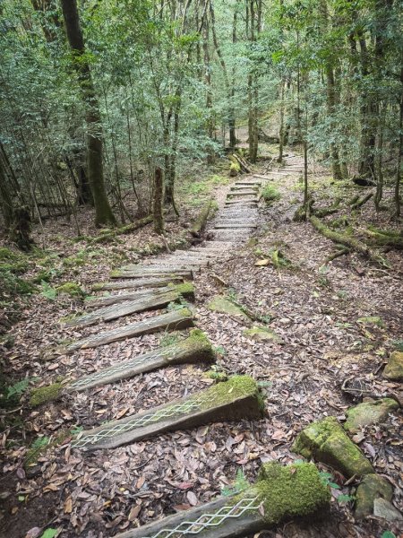 船型山林道賞雲海、烏石坑山、2432峰 山景海景一次到位2929312