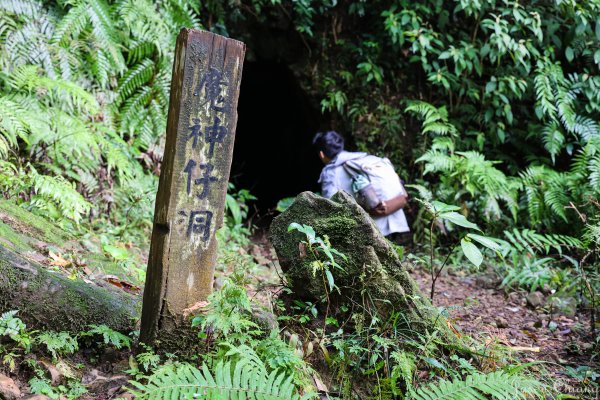 [新北]菁桐古道1569355