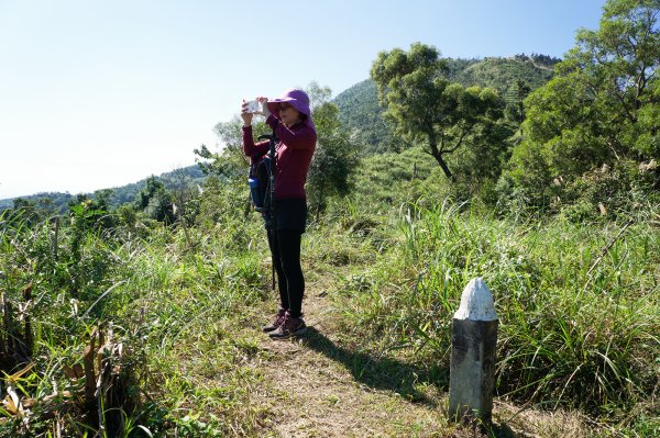 鵲子山(鴻子山)780753