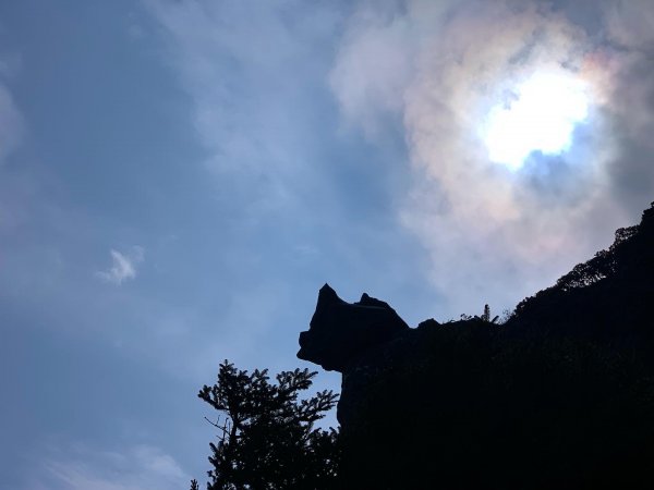 【百岳】奇萊北壁下屏風，驚險刺激的旅程2152341