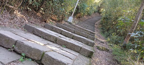 20240113_硬漢嶺步道(觀音山)2401538