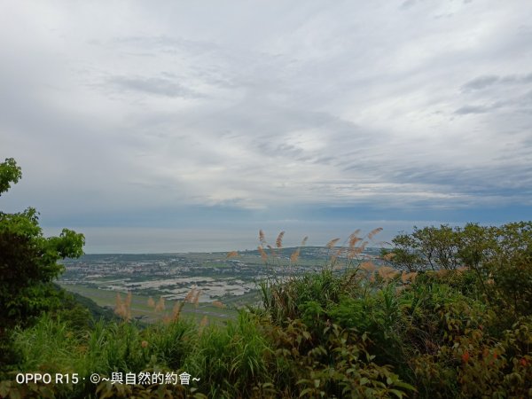 步道巡訪員 l 佐倉步道8月巡訪日誌1055604