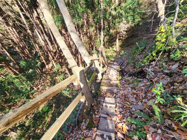 20251123秘境車站峠駅與垂水遺跡2957776