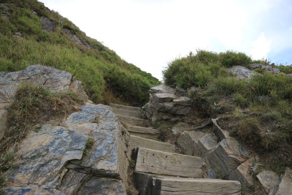 武嶺拍鳥順遊石門山及合歡尖山704487