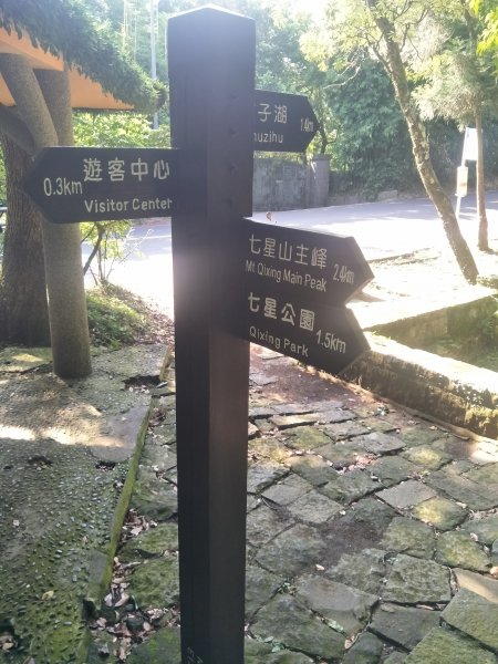 七星山主、東峰登山步道1682123