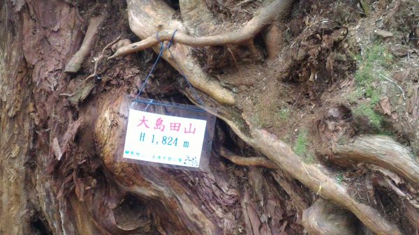 高台山+大中小島田102515