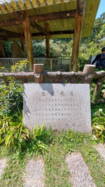 111/03/12東滿步道(東眼山進、滿月圓出)1643928