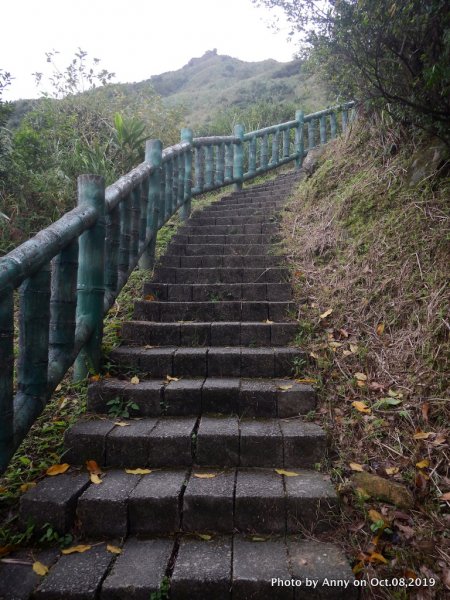 茶壺山登山步道700962