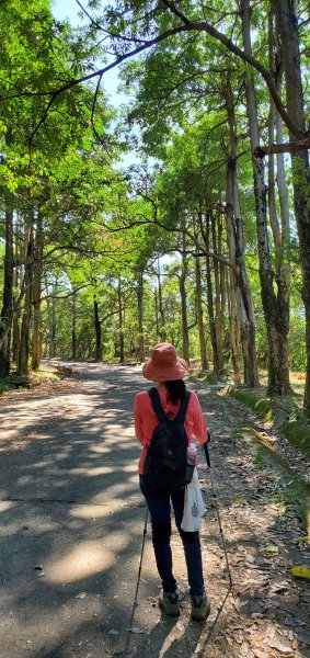 2021-11-14咬人狗坑登山步道(三汀山)封面