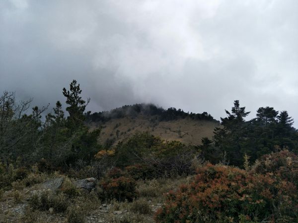 2018.03.17 郡大山麟趾山特富野290757