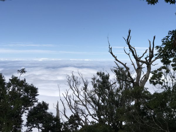 苗栗加里山-鹿場來回1493891