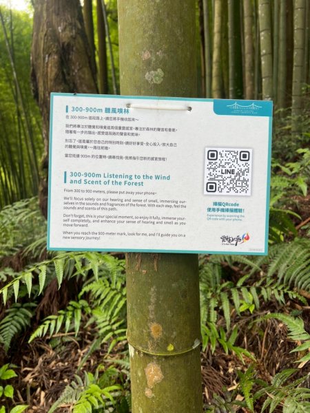 嵐山再古坑。五元兩角 木馬古道2806149