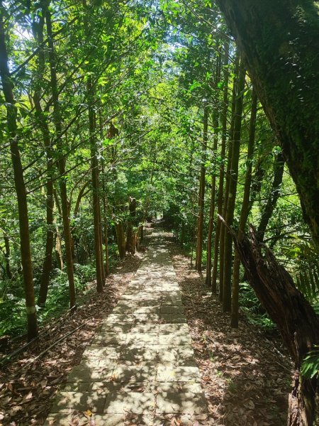 微笑山線五分山系菁桐-平溪-望古2881228