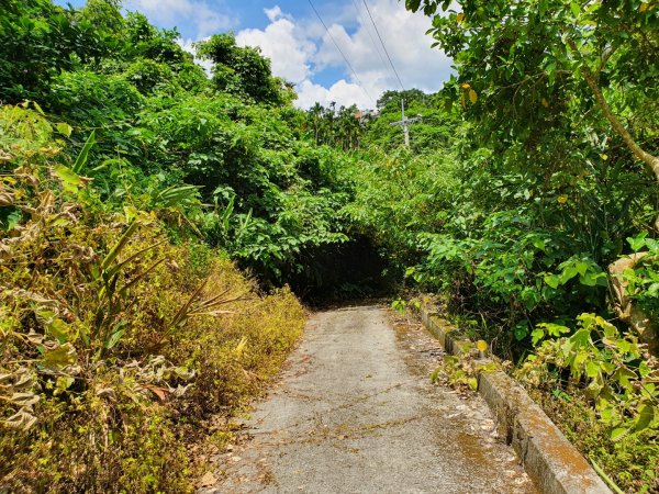 華山10號系列步道1037303