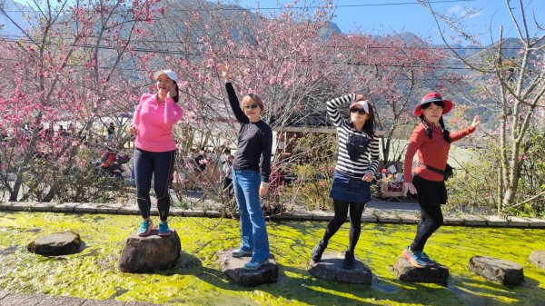 南投草坪頭2714128