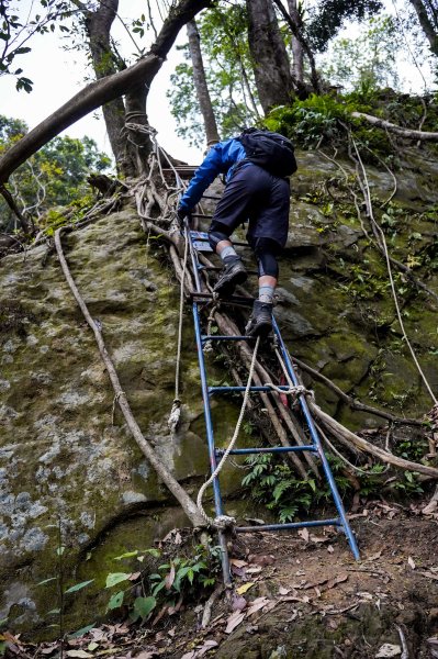 新竹石牛山步道｜小百岳2756523