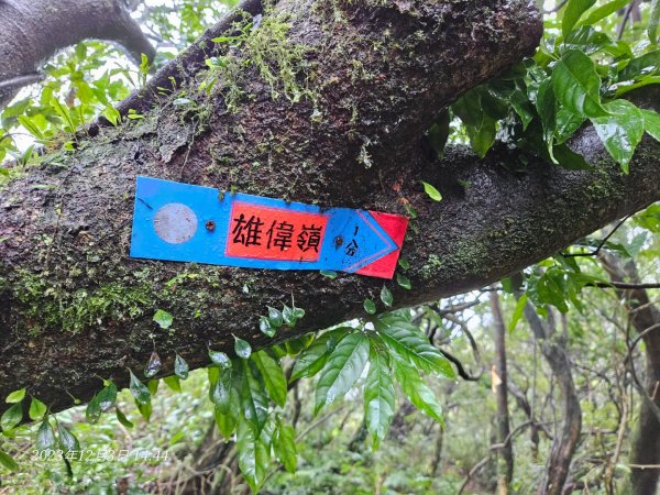 20231203淨灘後來爬竿尾崙山(H886m)2367924