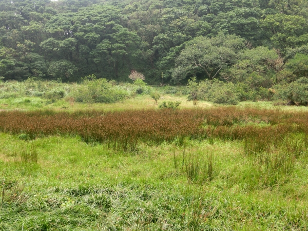 面天山．向天山．向天池94294