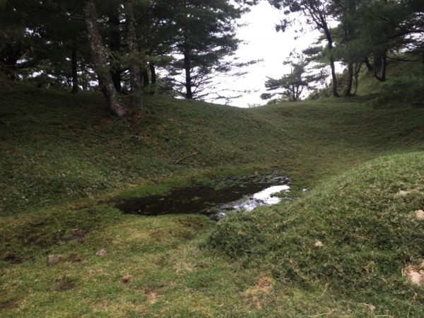 鹿林山388551